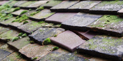 Blaenwaun roof repair costs